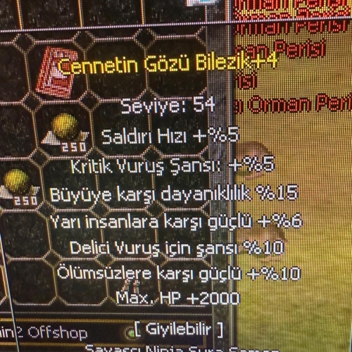  ELİT +4 CENNET GÖZÜ BİLEZİK